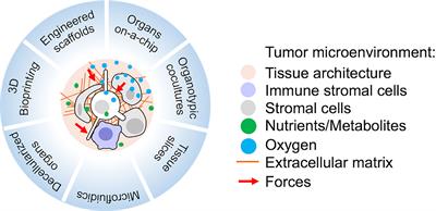 Technical Advancements for Studying Immune Regulation of Disseminated Dormant Cancer Cells